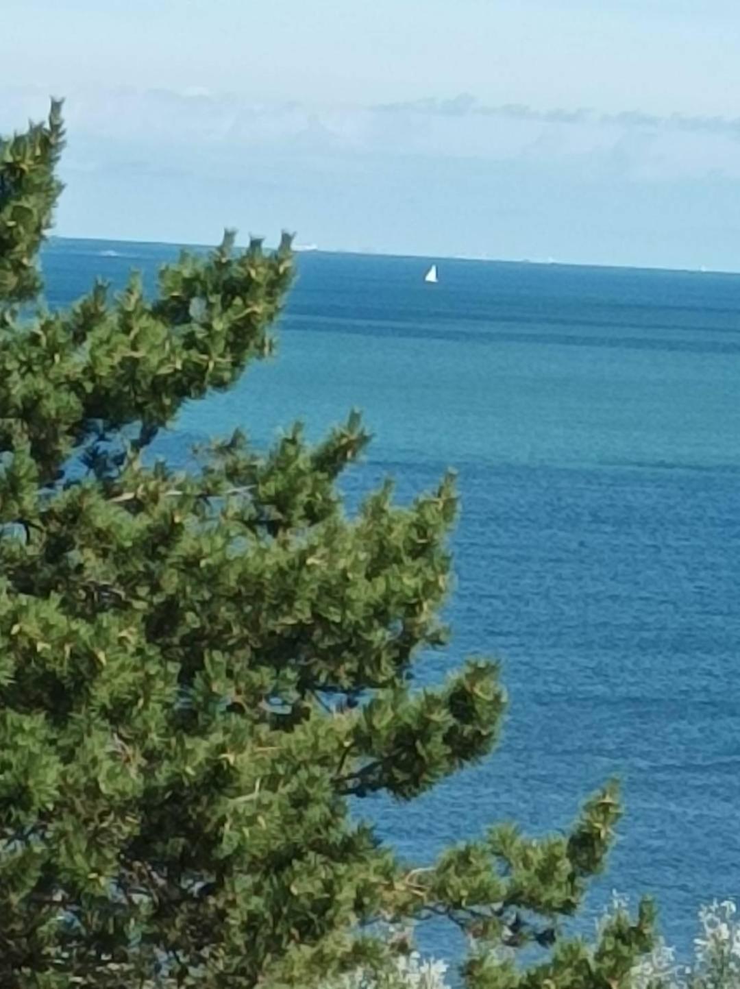 Le Cottage Vue Mer Bénerville-sur-Mer Eksteriør billede